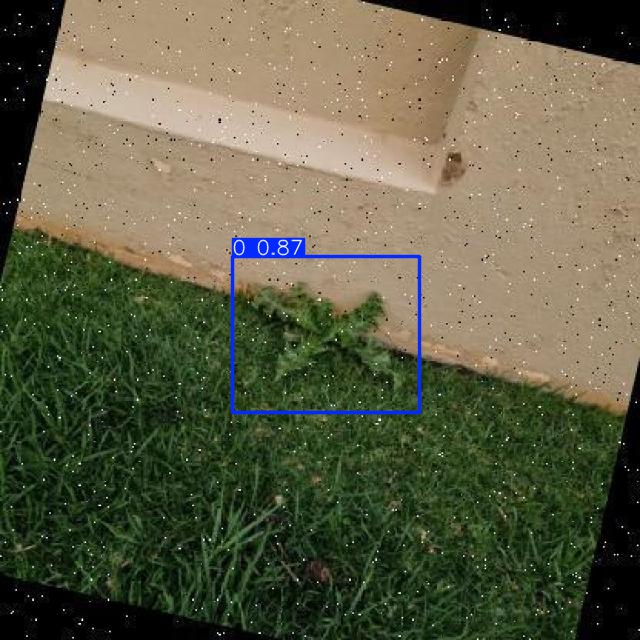 Annotated Image