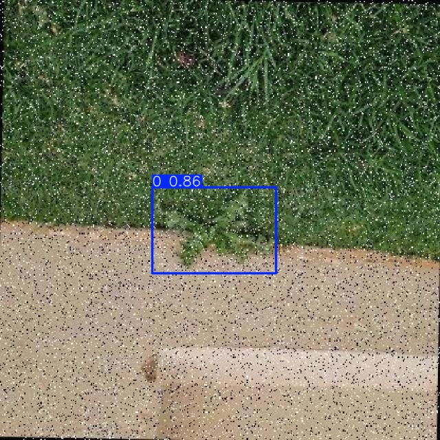 Annotated Image
