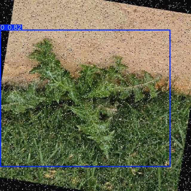 Annotated Image