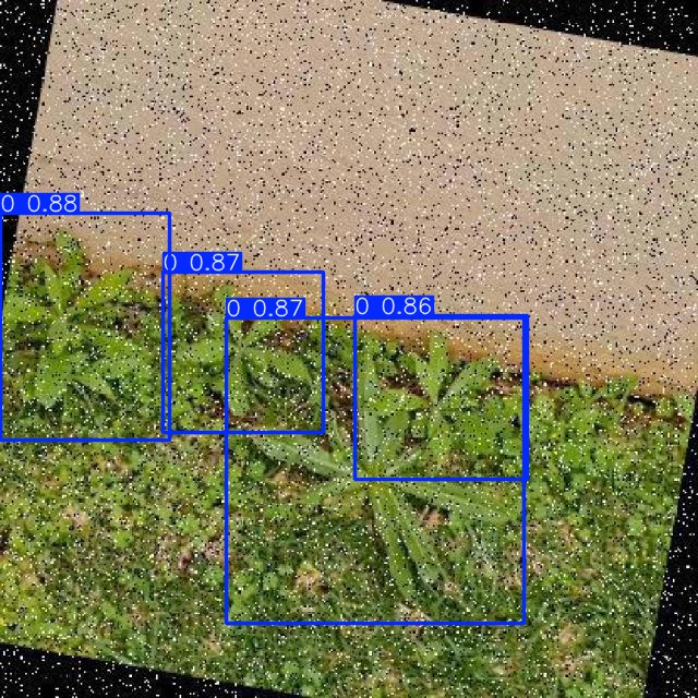Annotated Image