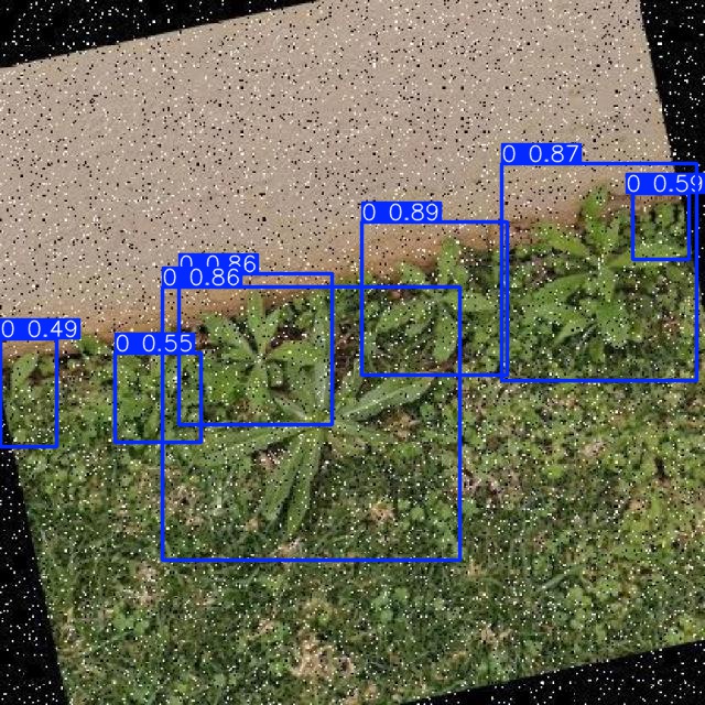 Annotated Image