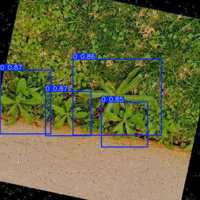 Annotated Image