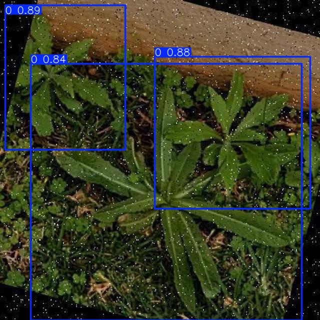 Annotated Image