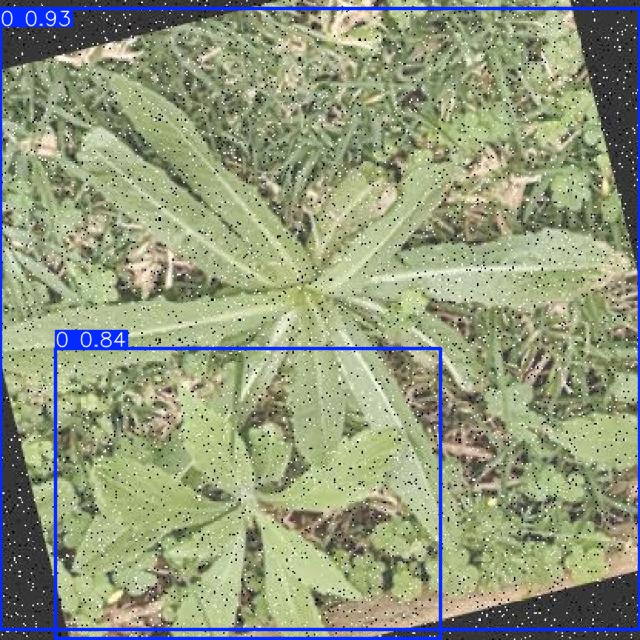 Annotated Image