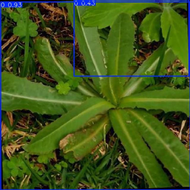 Annotated Image
