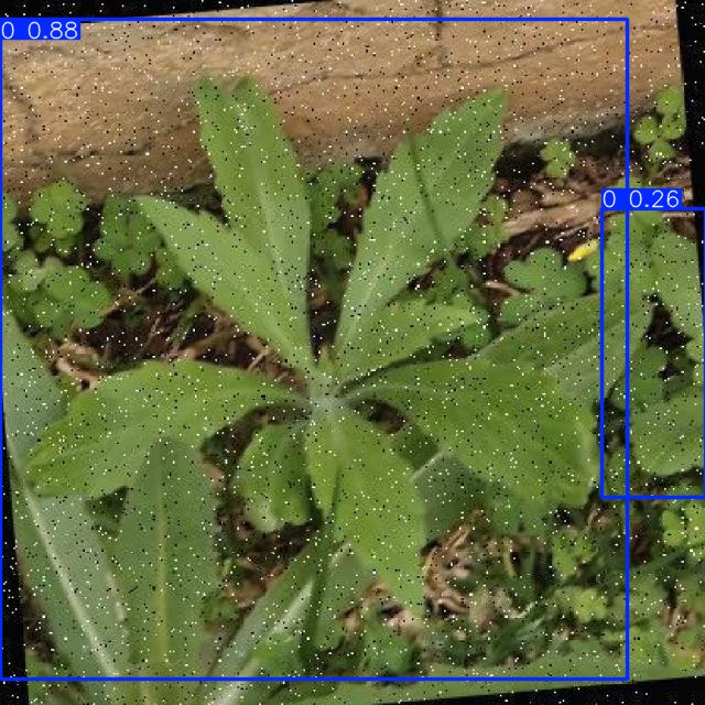 Annotated Image
