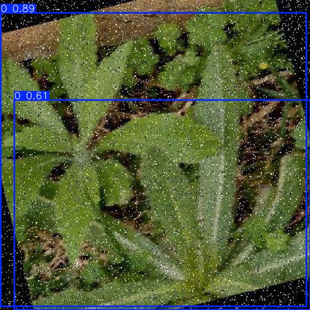 Annotated Image