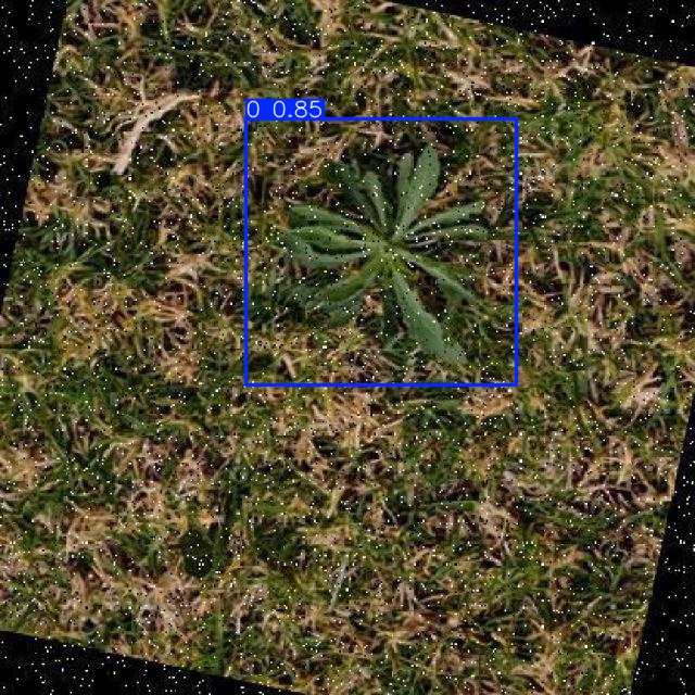 Annotated Image