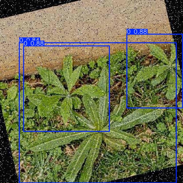 Annotated Image