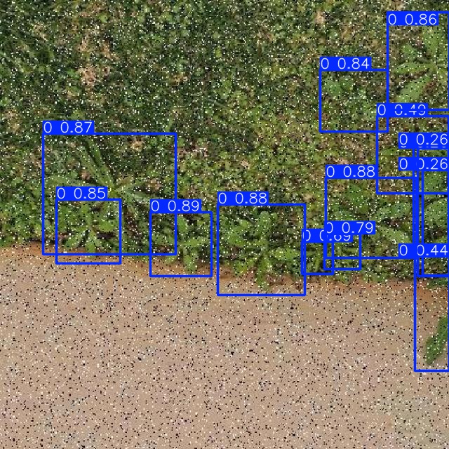 Annotated Image