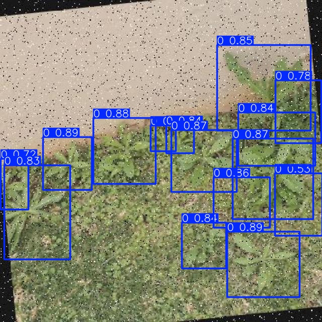 Annotated Image