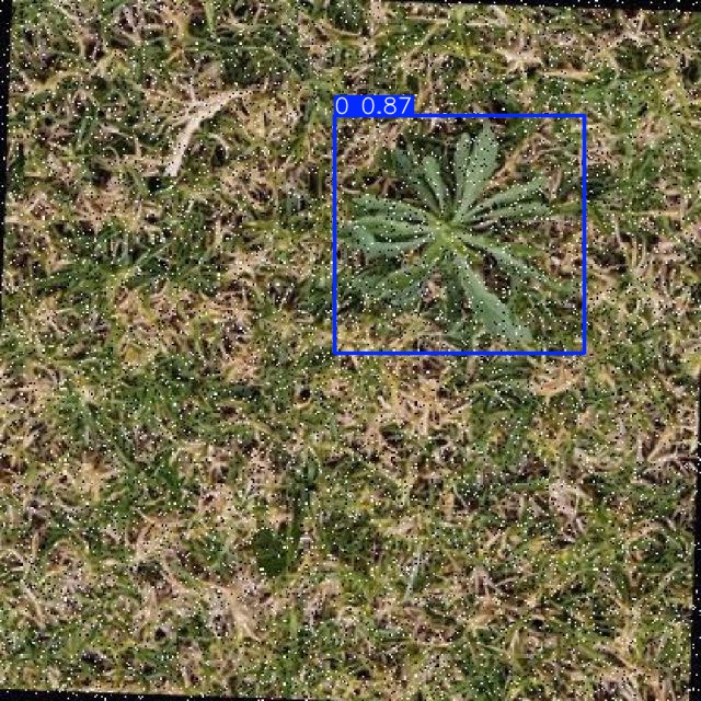Annotated Image