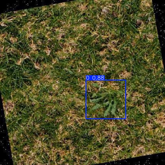 Annotated Image