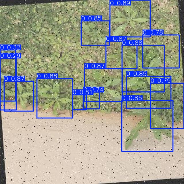 Annotated Image