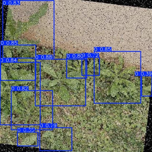 Annotated Image