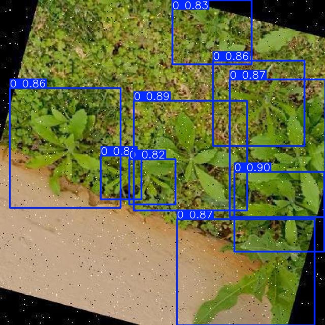 Annotated Image