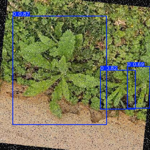 Annotated Image