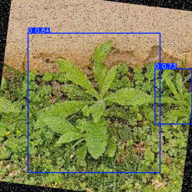 Annotated Image