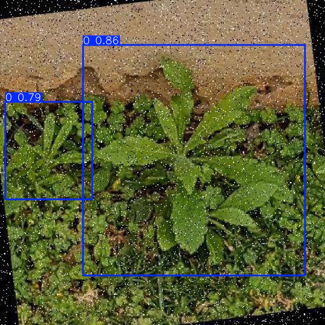 Annotated Image