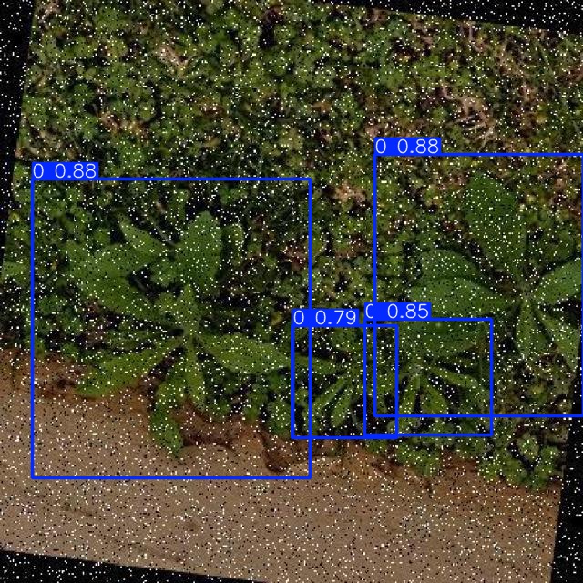 Annotated Image