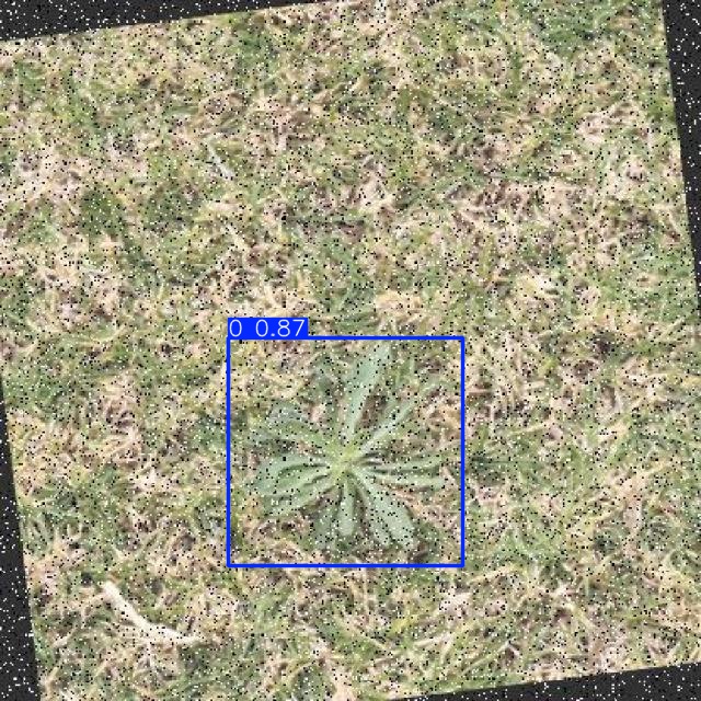 Annotated Image