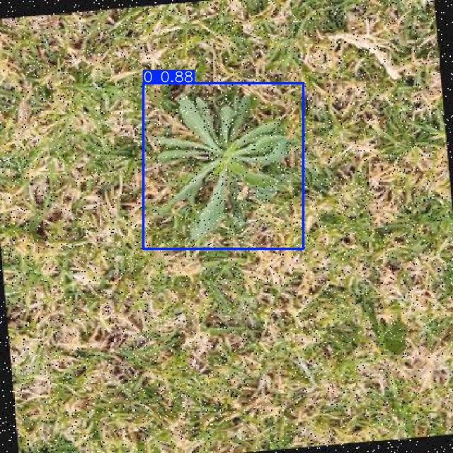 Annotated Image
