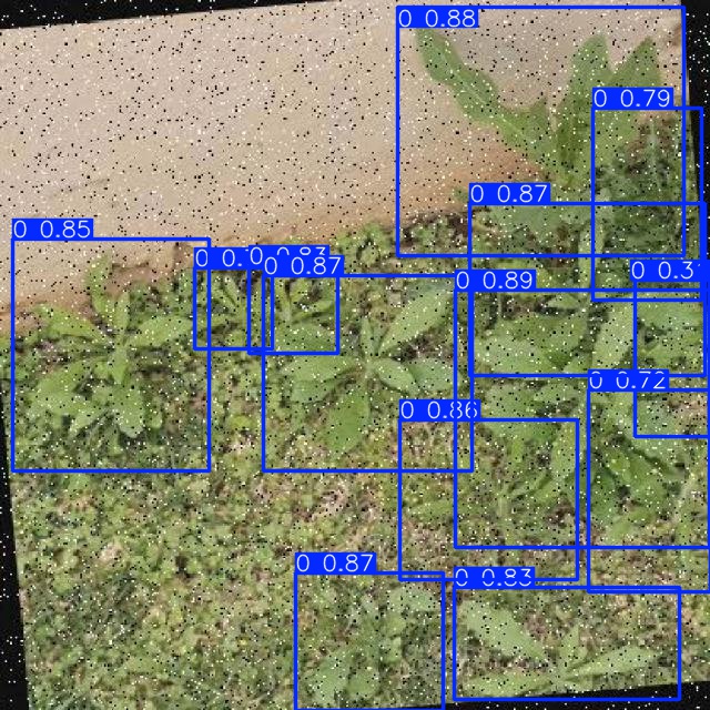 Annotated Image