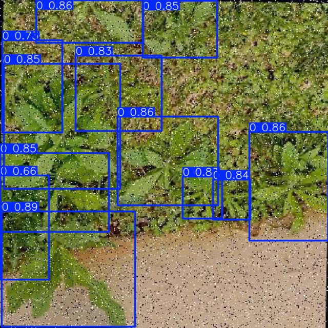 Annotated Image