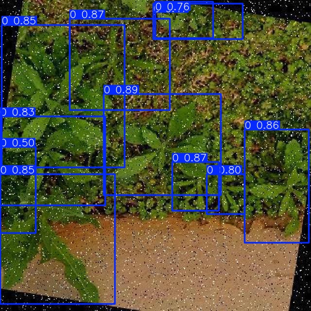 Annotated Image