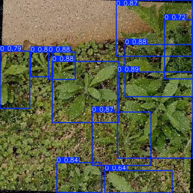 Annotated Image