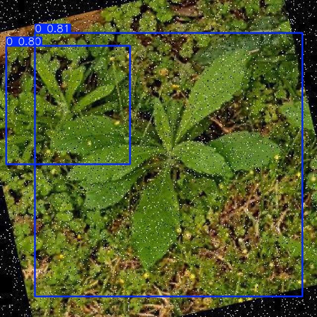 Annotated Image