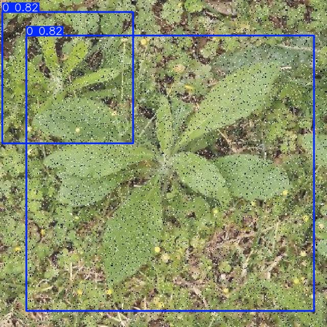 Annotated Image