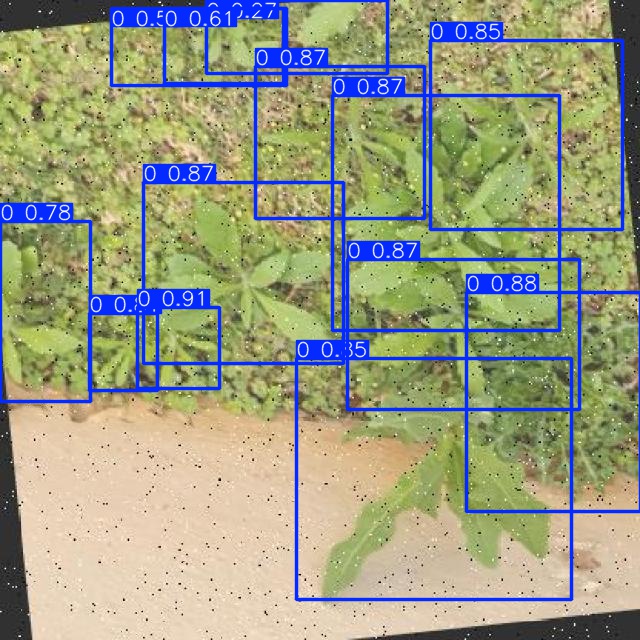 Annotated Image