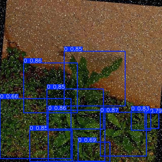 Annotated Image