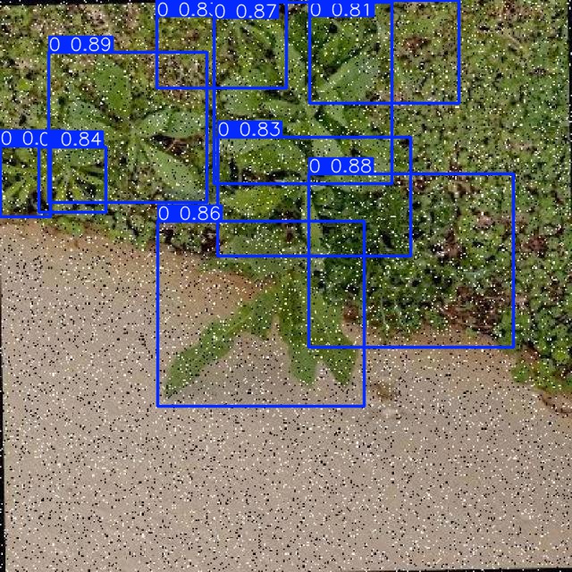 Annotated Image