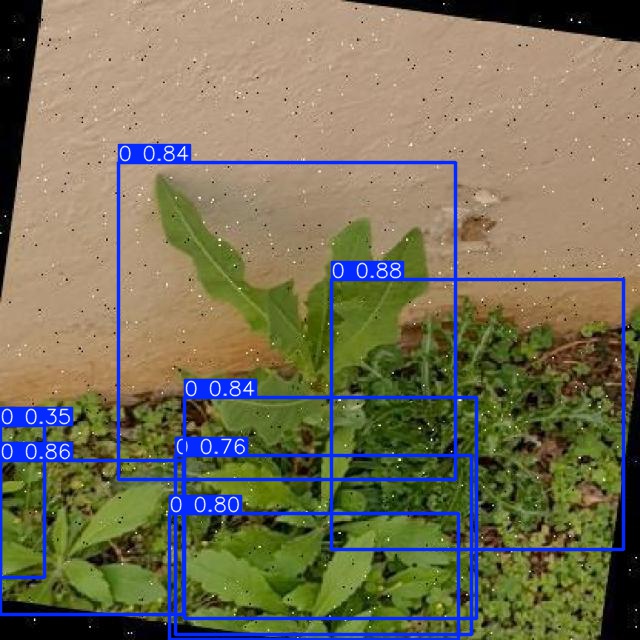 Annotated Image