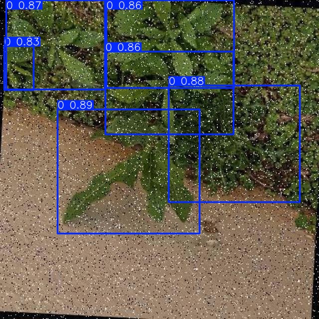 Annotated Image