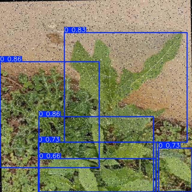 Annotated Image
