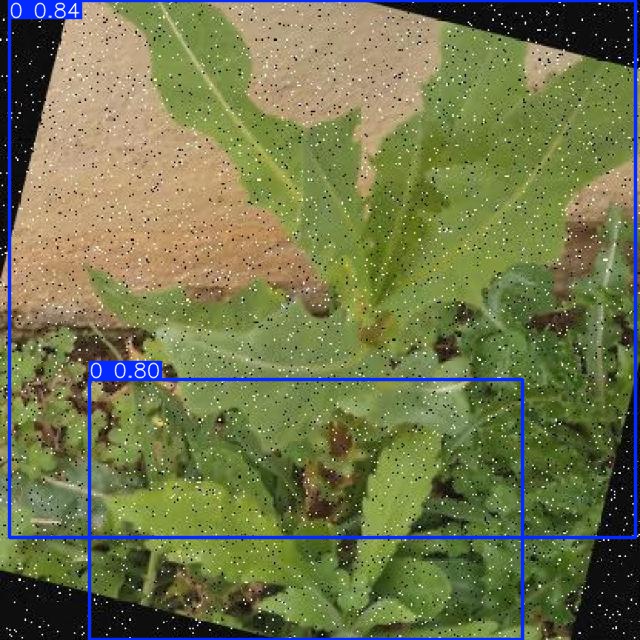 Annotated Image