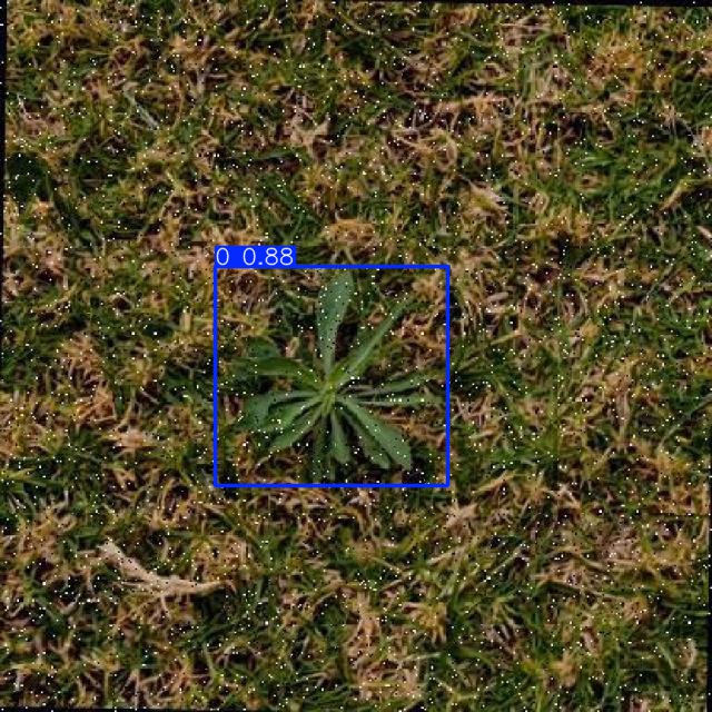 Annotated Image