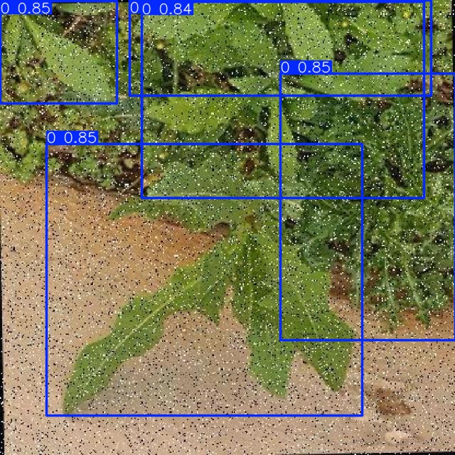 Annotated Image