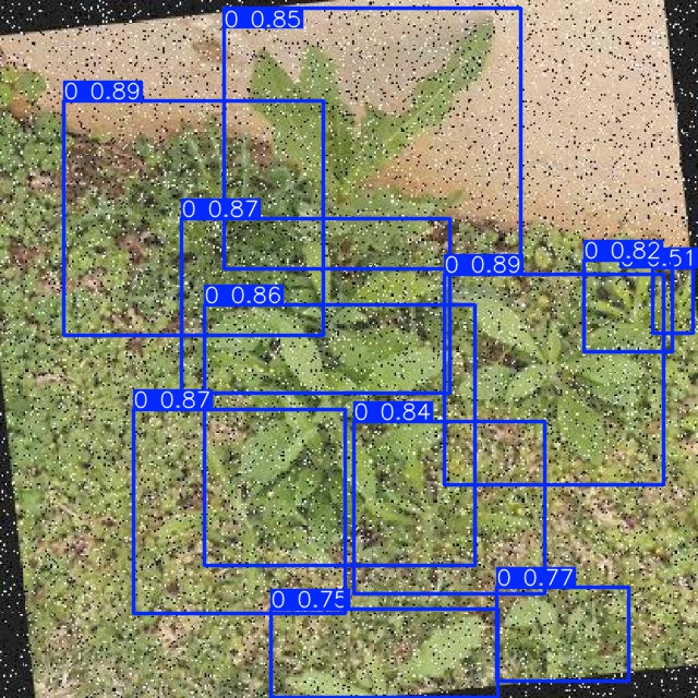 Annotated Image