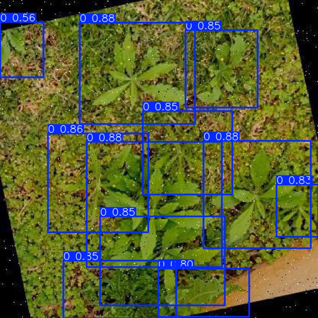 Annotated Image
