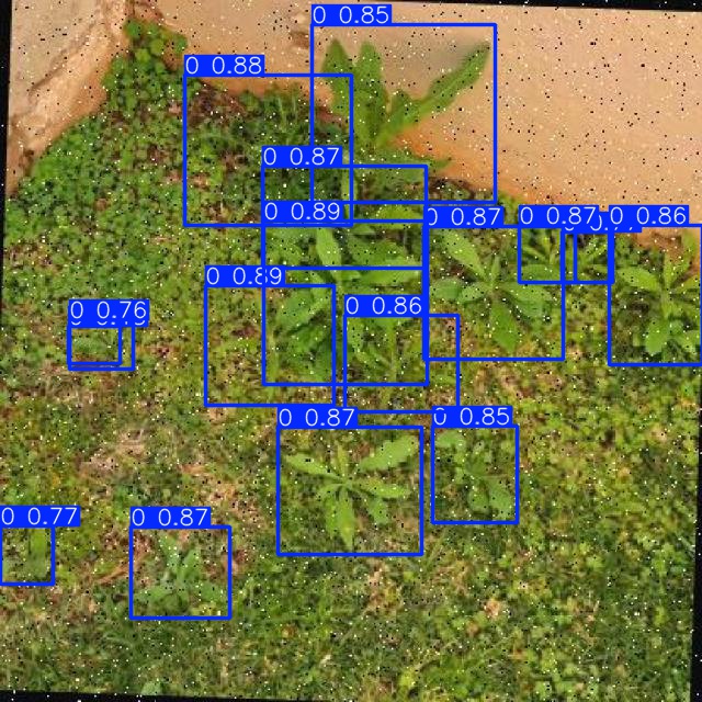 Annotated Image