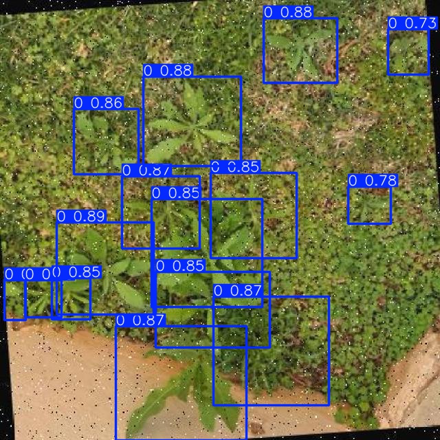 Annotated Image