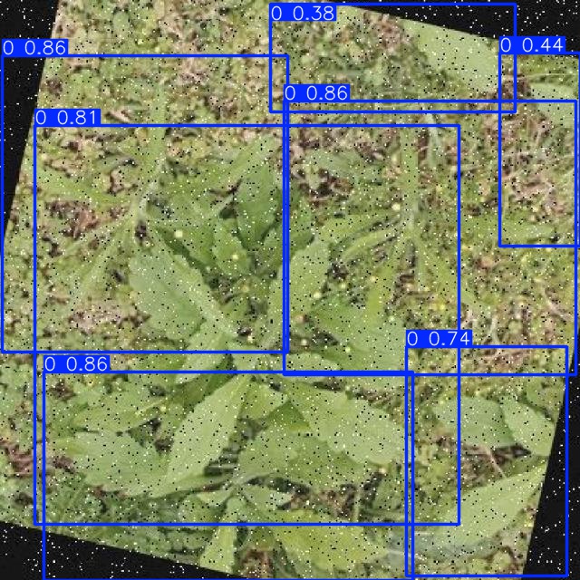 Annotated Image