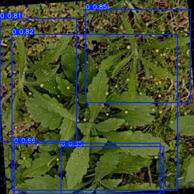 Annotated Image