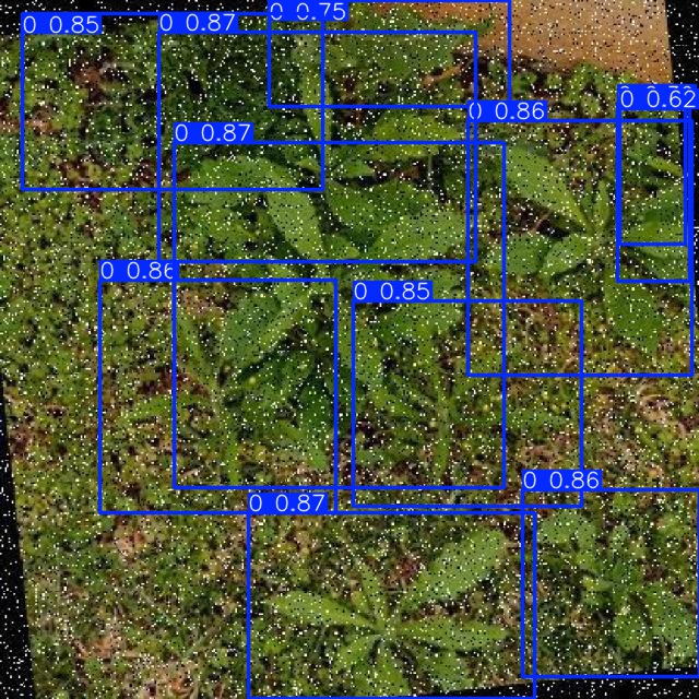 Annotated Image