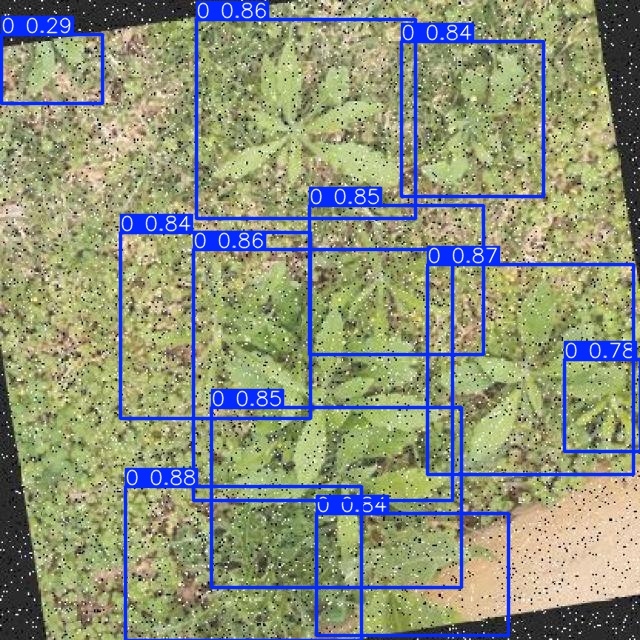 Annotated Image