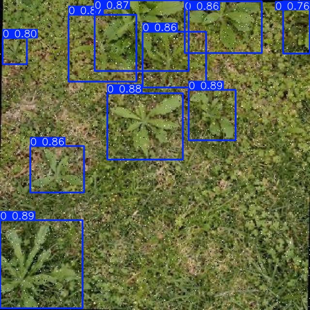 Annotated Image